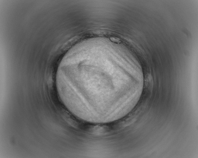 X0000113340566200910131221