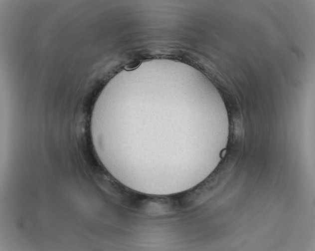X0000113340567200910131221