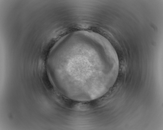 X0000113340568200910131221