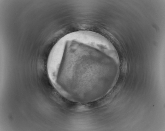X0000113340569200910131221
