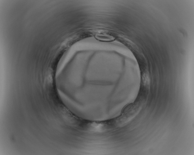 X0000113340570200910131221