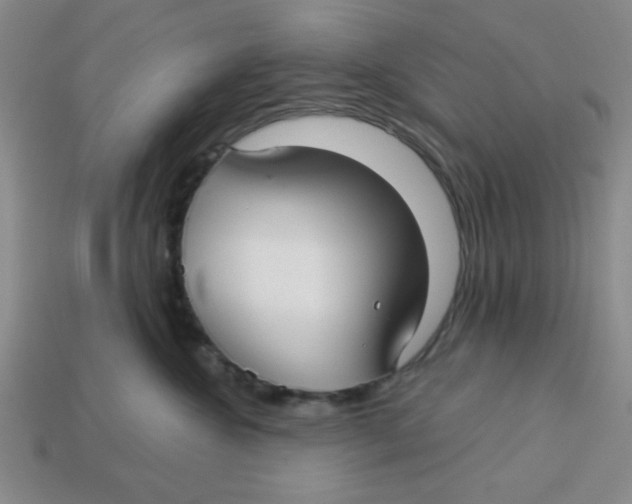 X0000113340572200910131221