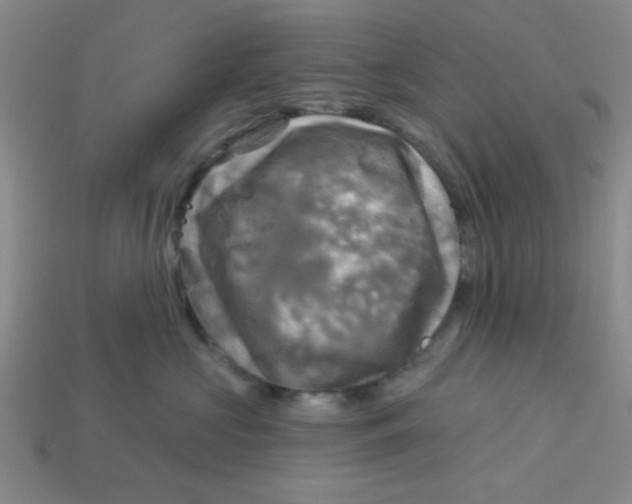 X0000113340573200910131221