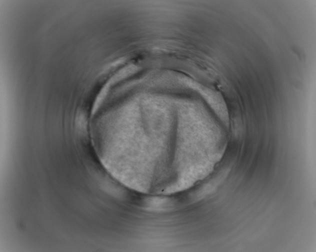 X0000113340575200910131221
