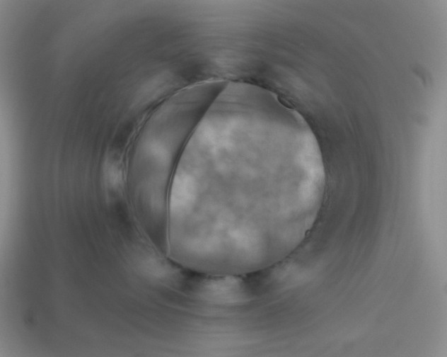 X0000113340576200910131221
