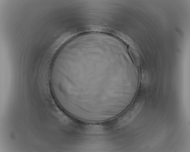 X0000113340577200910131220