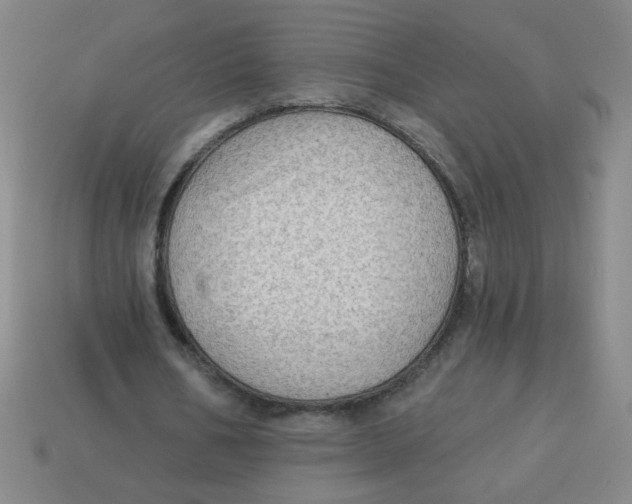 X0000113340578200910131220