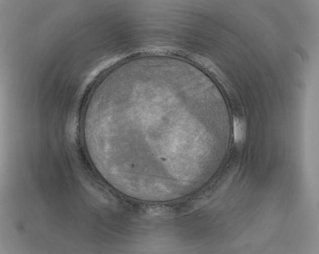X0000113340579200910131220