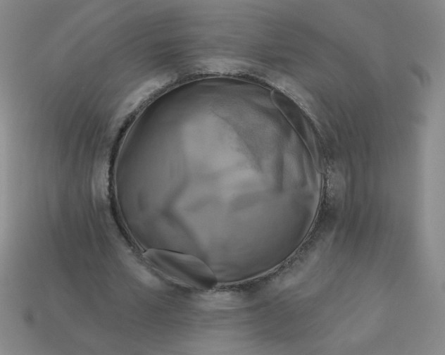 X0000113340581200910131220