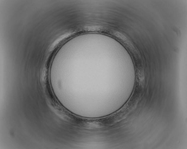 X0000113340583200910131220