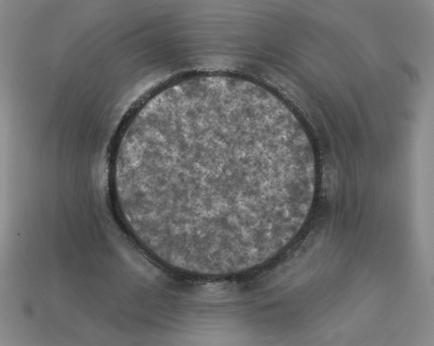 X0000113340584200910131220