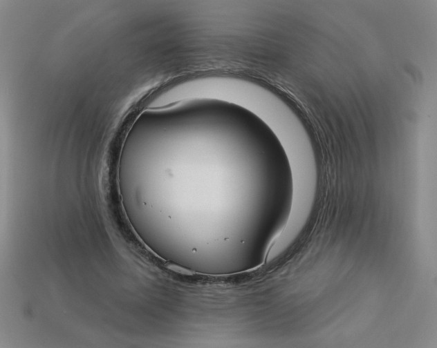 X0000113340587200910131220