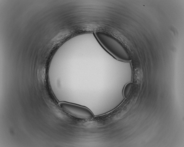 X0000113340589200910131220