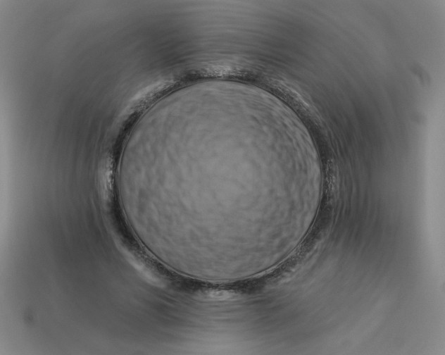 X0000113340590200910131220