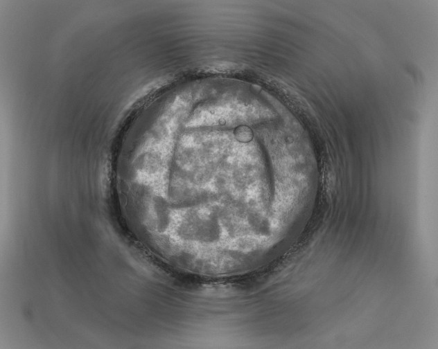 X0000113340591200910131220
