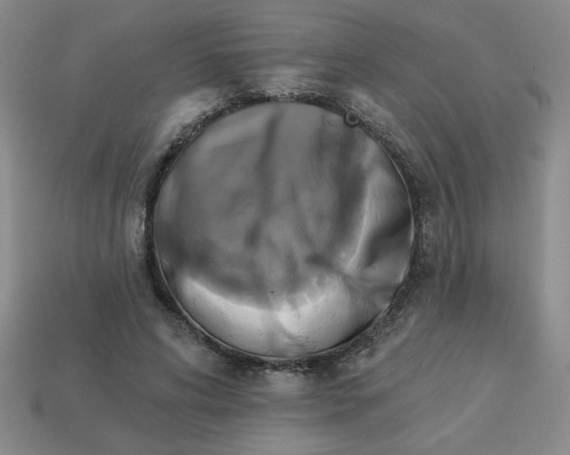 X0000113340592200910131220