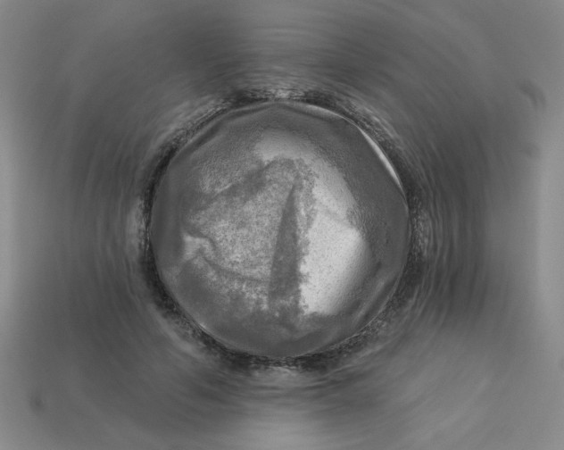 X0000113340594200910131220