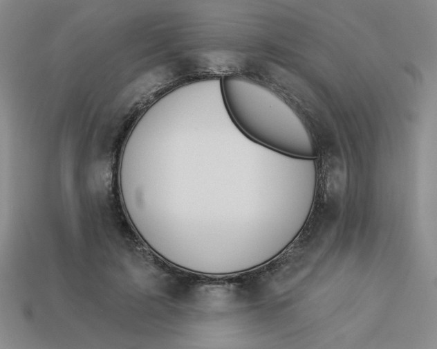 X0000113340595200910131220