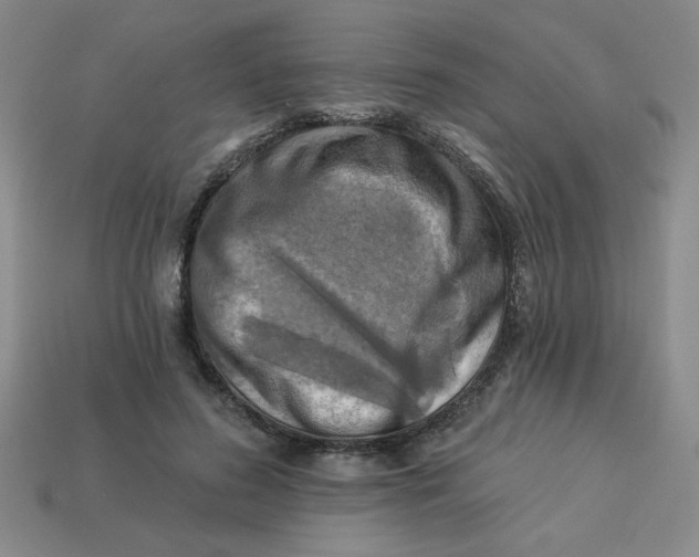 X0000113340596200910131220