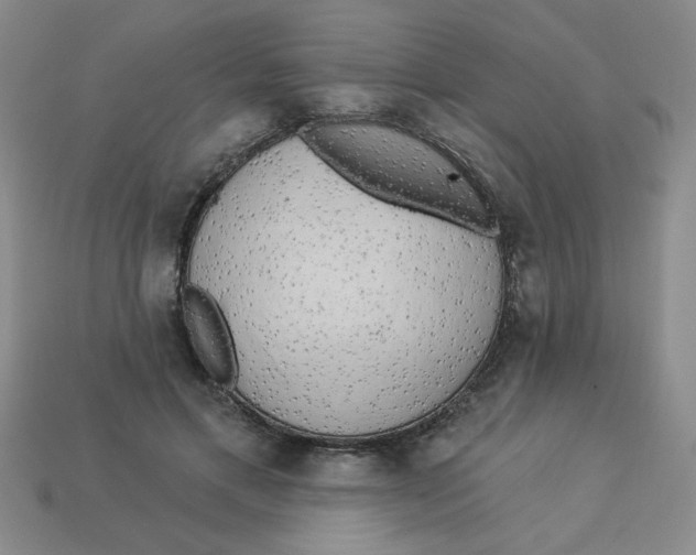 X0000113340597200910131220