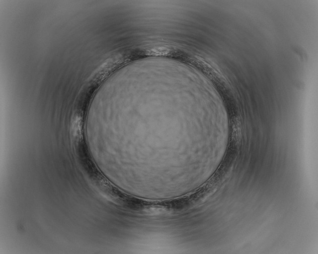 X0000113340598200910131220