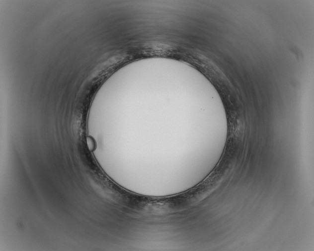 X0000113340599200910131220