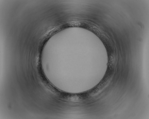 X0000113340600200910131220