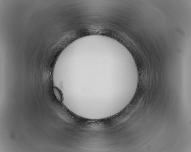 X0000113340601200910131220