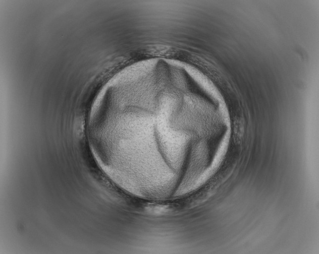 X0000113340602200910131220