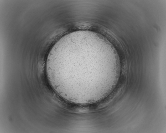 X0000113340604200910131220