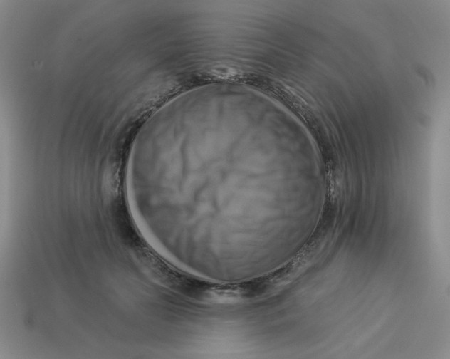 X0000113340606200910131220