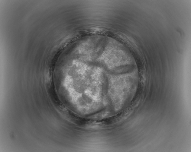 X0000113340607200910131220