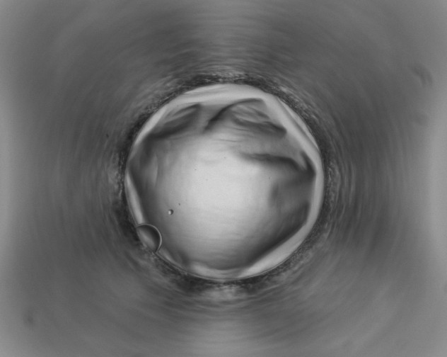 X0000113340609200910131220