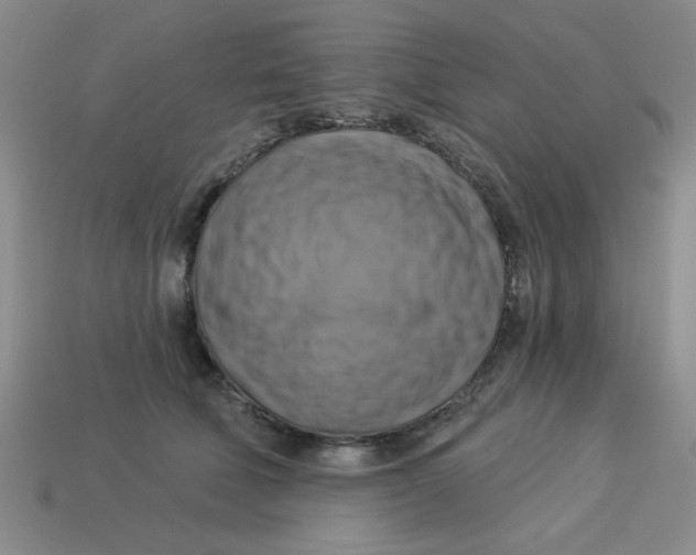 X0000113340610200910131220