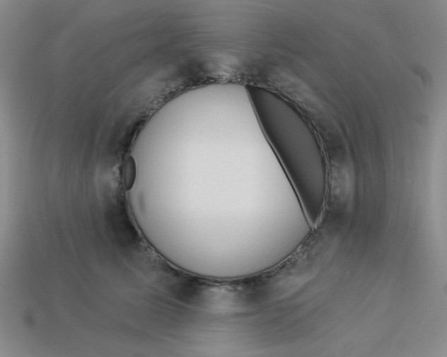 X0000113340611200910131220