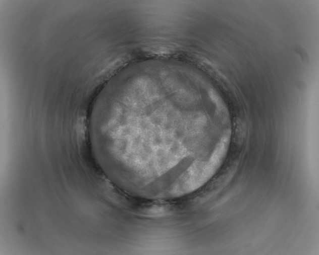 X0000113340612200910131220