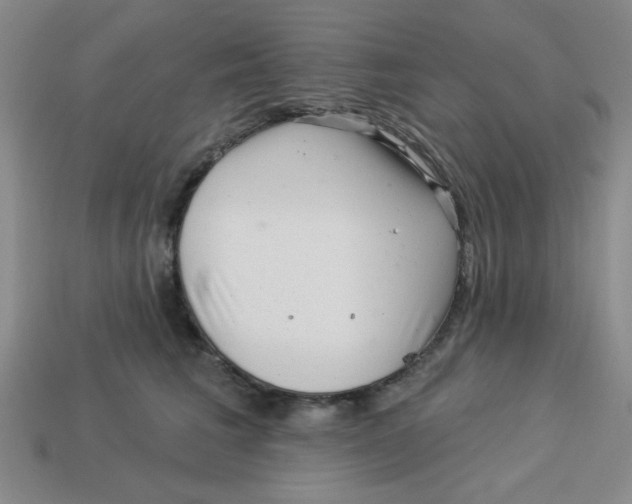 X0000113340613200910131220
