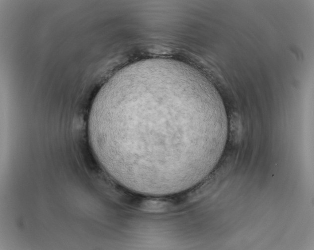 X0000113340614200910131220