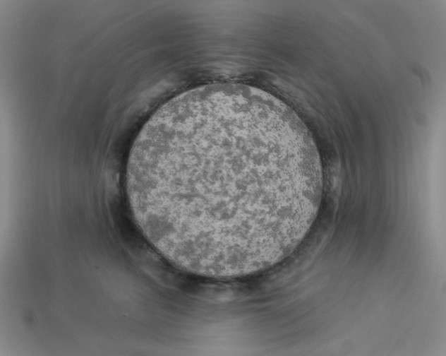 X0000113340615200910131220