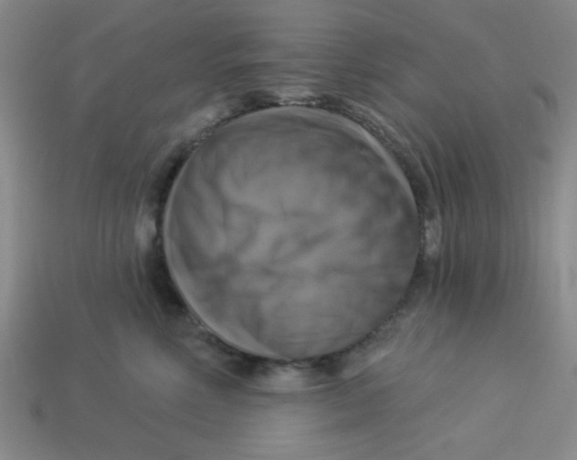 X0000113340618200910131220