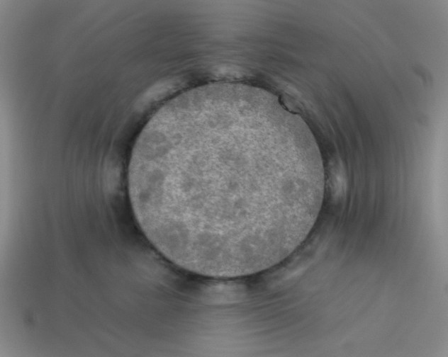 X0000113340619200910131220