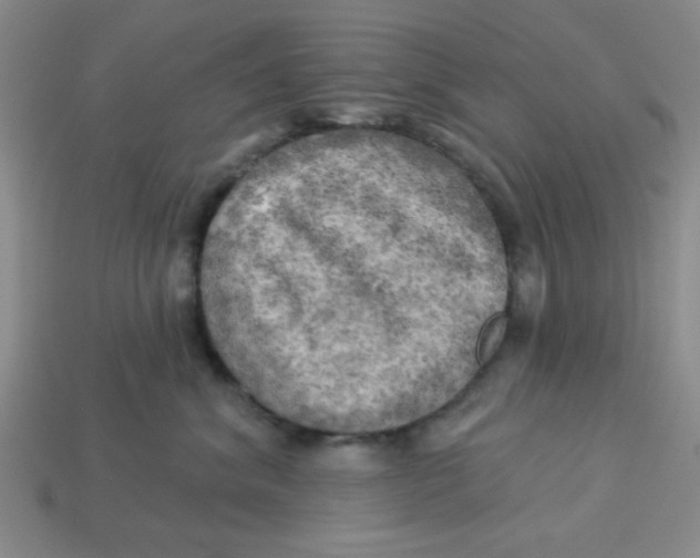 X0000113340620200910131220