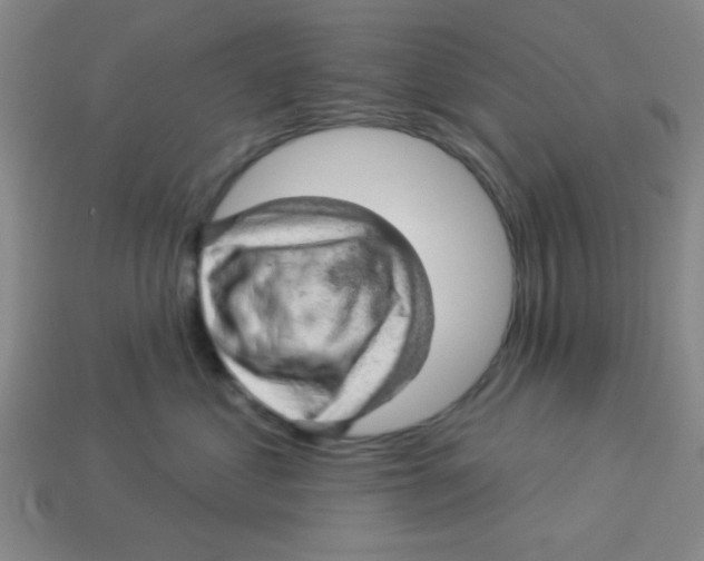 X0000113340621200910131220
