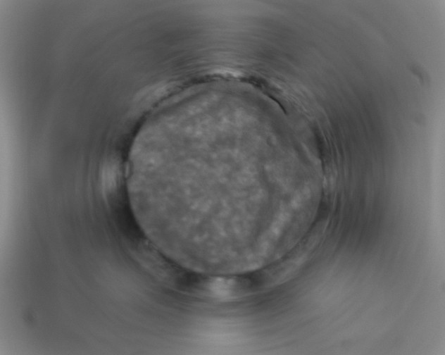 X0000113340623200910131220