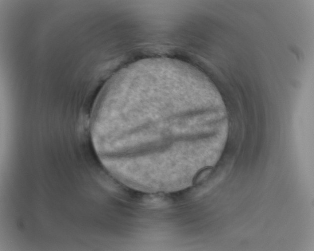 X0000113340624200910131220