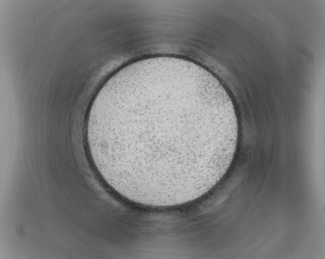 X0000113340625200910131219