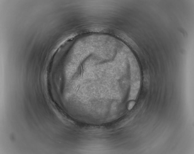 X0000113340626200910131219