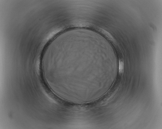 X0000113340627200910131219