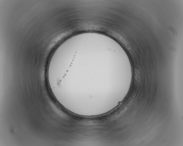 X0000113340629200910131219