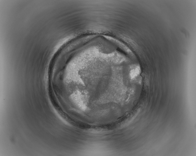 X0000113340630200910131219